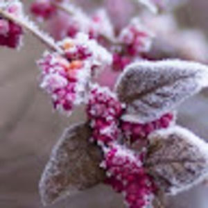 Meet your Posher, Michele